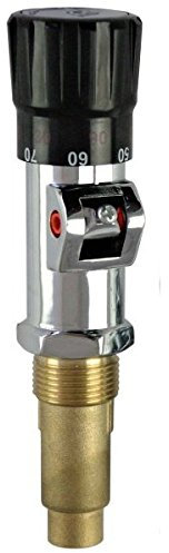 Régulateur thermostatique pour chaudière à combustible solide