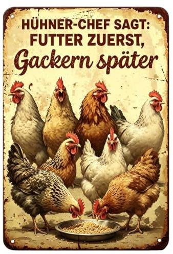 KZARYVEXIS Retro Hühnerstall Blechschild, 20x30 cm (B) | Hühnerstall Zubehör, lustiges Spruchschild, witzige Hühnerdeko für den Stall und Garten, humorvolles Metallschild
