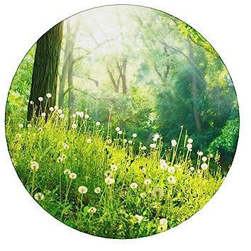Untersetzer für Getränke, Set mit 6 saugfähigen Keramikuntersetzern mit Korkboden, Frühling, Natur, schöner Landschaftsdruck, Tassen-Untersetzer