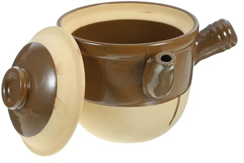 BESPORTBLE Cocotte en Céramique Traditionnelle Grosse Taille pour Décoction Médicinale Pot de Médecine Résistant Haute Température Marmite Couvercle Adaptée Cuisson au Gaz et Feu Direct