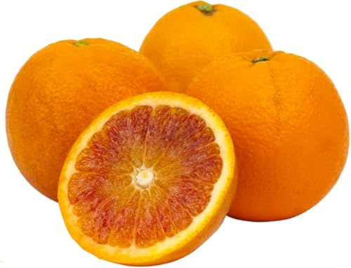 RACILIA Arance Tarocco Siciliane Fresche - 100% Biologiche - Perfette da Spremuta - Calibro 9/10-8kg