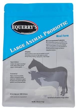Equerry’s Large Animal Probiotic | Supplements for Gut Health and Nutrient Absorption | Probiotics and Digestive enzymes for Horses, Cows, Goats, Sheep, Pigs, 40 Feedings (5 lbs) for 1000 lb Animal