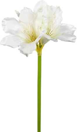 Seidenblumen Roß Amaryllis 65cm HB Kunstblumen künstlicher Ritterstern Blumen Pflanzen Dekoblumen (Weiß)