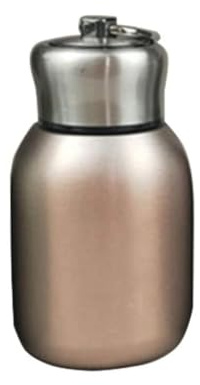 CHRISTY HARRELL Bouteille d'eau isotherme, mini bouteille isotherme portable en acier inoxydable, étanche, pour eau chaude et froide, 300 ml