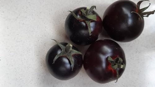 generico POMODORO BLACK BAYOU- IL PIU' NERO-SEMI