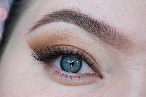MYSALENS® Lentilles De Contact De Couleur Canna Roze Hidrocor Gris Anthracite très haute opacité Kit De Rangement Boitier Pince applicateur Offert 12 Mois sans correction