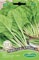 Germisem graines Poirée verte à couper PERPETUAL SPINACH