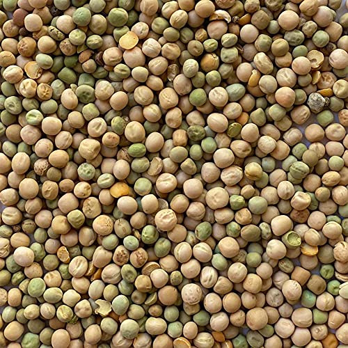 Il Contadino - Antichi Becchimi | PISELLO AD Uso ZOOTECNICO | Essenza di Semi Selezionati e Super Ventilati, No OGM, 100% Vegetale, Assenza di scarti. qualità Superiore (20 kg)