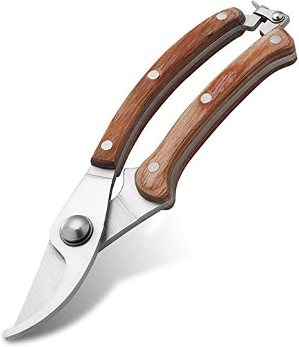 HYEFDWS Gartenschere für die Gartenarbeit Baumstammgriff Gartenschere Baumschere Baumschere Hand-Gartenschere Klingen aus rostfreiem Stahl Professionelle Gartenschere Bypass