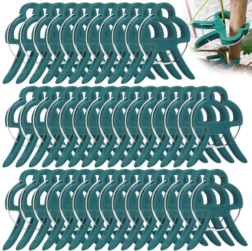 GmwyCzV 40 Stück Pflanzenclips, 62X45mm Groß Pflanzenklammern Selbstklebend, Wiederverwendbare Pflanzen Clips, Dunkelgrün Plant Clips für Kletterpflanzen, für Halten Garten Pflanzen Gemüsefrucht