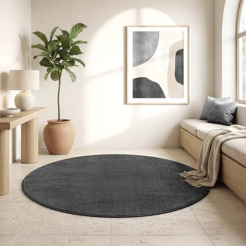 SANAT Kurzflor Teppich Wohnzimmer - Uni Modern Teppiche fürs Schlafzimmer, Arbeitszimmer, Büro, Flur, Kinderzimmer und Küche - Dunkelgrau, 120 cm Rund