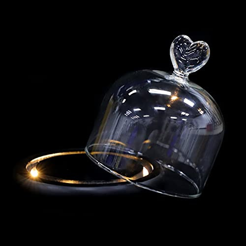 Cabilock 1 Pc Cubierta De Flores Cúpula De Cristal Campana Cloche Tarro Campana Transparente Campana De Cristal Transparente Decoración Led Planta De Aire Cubre Luces Decorativas MDF Vidrio