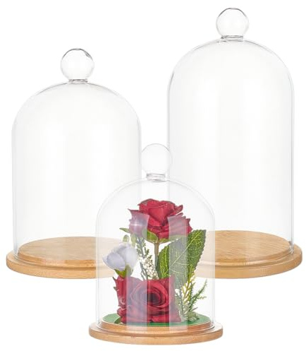 BENECREAT 3 Stili Cupola A Forma di Campana In Vetro, Terrario A Campana In Vetro con Base In Bambù per Decorazioni per Feste In Casa e Matrimoni