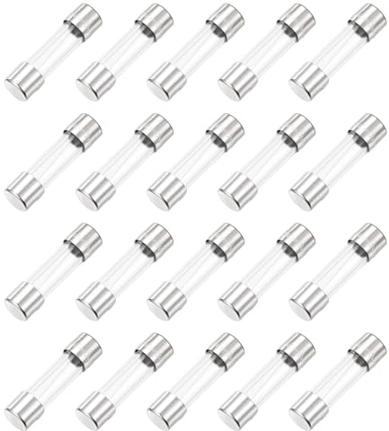 QUARKZMAN 20er Packung 2A Glassicherung 5x20mm Schnellschlag Auslösecharakteristik 250V Sicherung, Silber