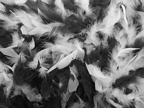 Boa economico in vera piuma BIANCO e NERO 200 cm