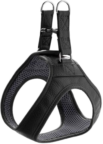 HUNTER Hundegeschirr Hilo, Farbe: schwarz, für kleine und kopfscheue Hunde, weiches Leder, gepolstert mit atmungsaktivem Mesh-Material, pflegeleicht und strapazierfähig, Made in Germany, Größe: S