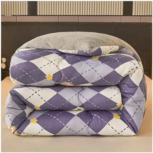 RCGNR EdredóN De Invierno De Terciopelo De Cordero, EdredóN Relleno Fibra Superfina Suave, EdredóN De Fibra Duo 4 Estaciones EdredóN AlgodóN Invierno, Manta Cama Invierno B, 229x229cm/5kg