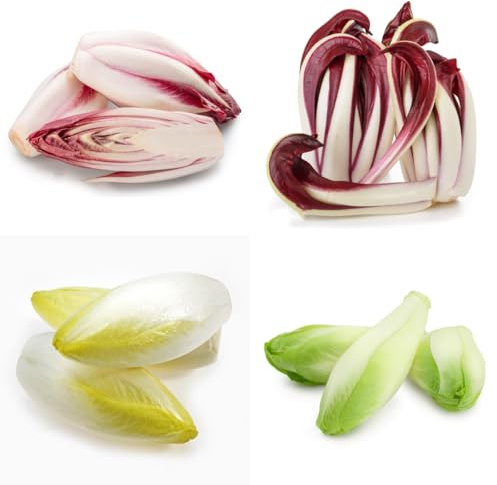 semi di cicoria da orto, aiuola rialzata di radicchio di resistenti invernali, rustiche per l'orto di invernali, 100pcs