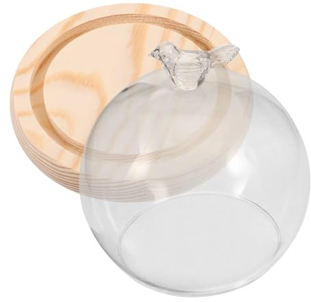 VICASKY Campana In Vetro Con Base In Legno Copertura Fiore Per Micro Paesaggi E Decorazione Cupola Di Vetro Trasparente Per La Presentazione Di Figure E Piante