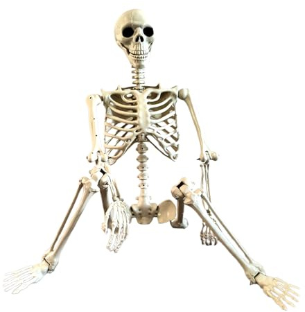 Halloween Skelette Für Draußen, Lebensgroße Menschliches Skelett Mit Beweglichen Gelenken, Wetterfeste Garten-Deko Gruselige Fotomotive Für Halloween Horrorhaus Vorgarten Terrasse