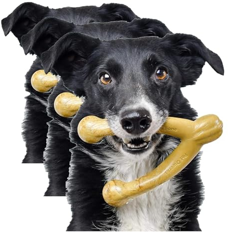 Pet Qwerks Wishbone BarkBone - Nylon Chew Toy for Aggressive Chewers - Peanut Butter Flavor - 6.75 (Pack of 3)