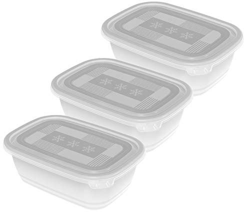 Rotho Freeze Set di 3 Vasetti Freezer con Coperchio, Plastica (PP) senza BPA, Trasparente, 3 x 1 L, 19.5 x 13.5 x 10.0 cm