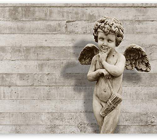 murando PREMIUM Papier peint intissé Ange 400x280 cm Non-tissé Décoration trompe l oeil moderne Design murale salon chambre bureau nature Fleurs conseils penseur l'ange f-C-0035-a-b