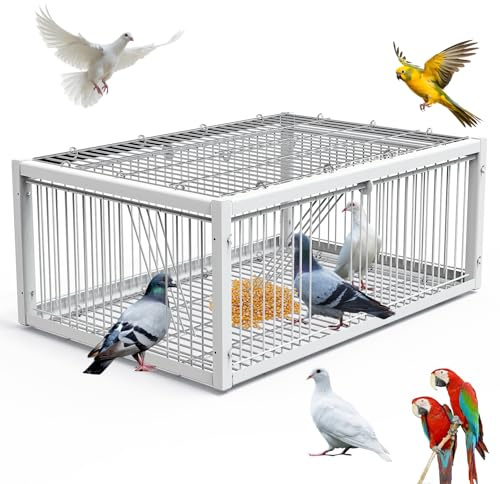 MOGOULUA Jaula de trampa para pájaros, jaula de palomas a prueba de escapes, jaula de captura automática para palomas, loros, pájaros, jardines, techos, patios, 64 x 44 x 26 cm