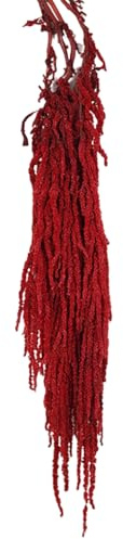 Ramo de Flores secas, 24-31.5 Amaranto seco Colgante, Flores de Vid Naturales realistas, Plantas Reutilizables para Ramo de Boda, decoración de Pared, hogar, Fiesta, Rojo Oscuro, decoración