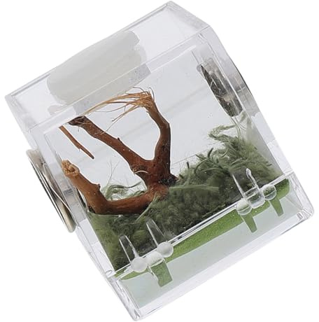 VILLCASE Springspinne Aufzuchtbox aus Acryl Mittlere Zuchtbox für Spinnen Insekten und Krabbler Feuchtigkeitsbeständiger Stabiler Terrarien behälter Praktisches Futter Zuchtgefäß