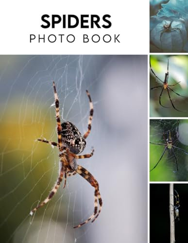 Spiders Photography Book: 2024 Animal Photo Picture Book With Impressive Pictures For Kids And Adults To Relieve Stress And Relaxation Fantastic ... Birthday, Christmas Gifts Idea For All Ages