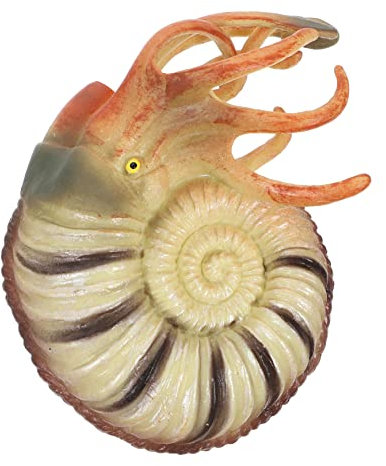 Toyvian Animal Figurine Nautilus Model Toy for Educational Learning and Aquarium Decor Realistic Figure for Boys and Girls and Ocean Enthusiasts