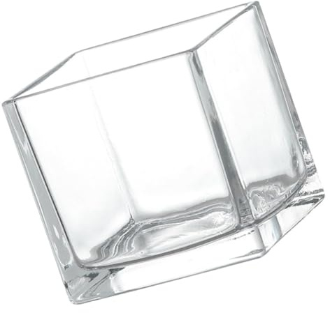ZUNOXAZ Jarrón De Cuadrado Transparente Jarrón Hidropónico Decorativo Moderno para Hogar y Oficina Macetero Creativo y Resistente De Vidrio para Plantas y Flores