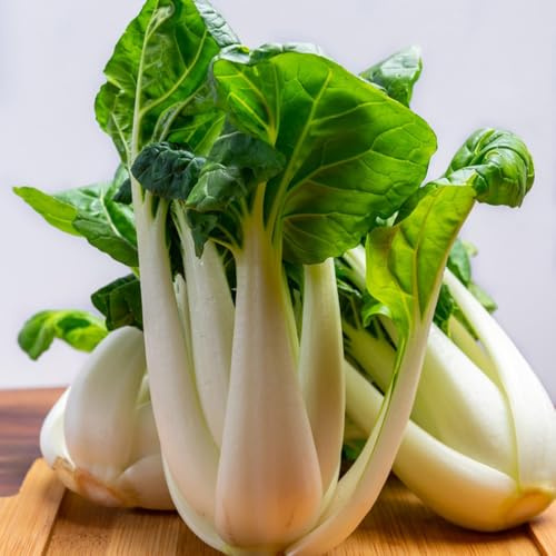 Semi di cavolo cinese - esotiche Semi di Pak Choi - da appartamento semi di vecchie varietà da balcone resistenti verdi 400pcs