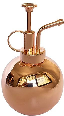 LianShi Flacon pulvérisateur en Acier Inoxydable pour Plantes-Petit arrosoir-Outils de Jardinage Modernes pour Plantes en Pot d'intérieur-Arrosage et pulvérisation (Or Rose, 0.5L)