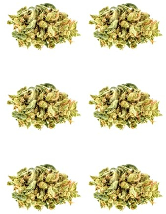 6 x Weed Bud Edible Wafer or Icing Cupcake Toppers Fun Stoner Themed Party Cake Decorations Perfect For Brownies Cookies Muffins & More! (Edible Wafer Card)