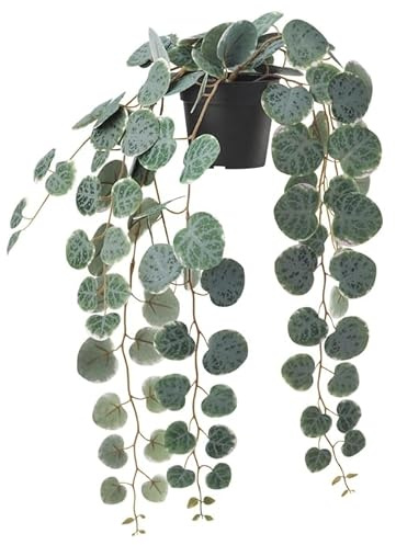 Luckora Artificial Potted Plant, 9 cm, Indoor/Outdoor Hanging Decoration, Realistic Faux Plant for Home, Office, or Garden (1, String of hearts)