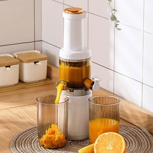 Tragbarer Elektrischer Entsafter, 625 Ml, Multifunktionaler Haushaltsentsafter, Langsamer Entsafter Mit Rückstandstrennung, Abnehmbarer Entsafter Für Wassermelone, Birne, Karotte, Tomate, Gurke