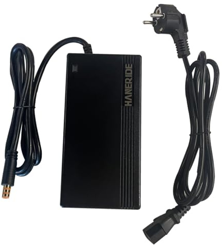 HANERIDE Ladegerät 43V(49.2V) 2A,Charger von Bafang 43V(49.2V) Akku, 1-poliger Anschluss,Accu Lader for E-Bike Cortina E-U4 Gazelle HFB