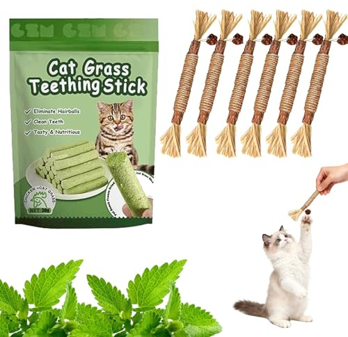 6pcs Cat Silvervine Catnip Sticks, Cats Teething Toy Dental Care, Natural Silver vine Stick Kitten Teeth Cleaning Toy with Grass Sticks, Interactive Kittens Chew Toys for Stress Release Indoor
