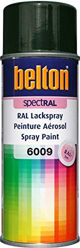 belton SpectRAL RAL 6009 Spray de peinture Vert sapin brillant 400 ml - Qualité professionnelle