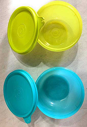 Tupperware Tropical Twin Round Bowls