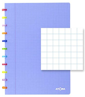 ATOMA Notizbuch System - Tutti Frutti - A4 - blau - Kariert 5 mm