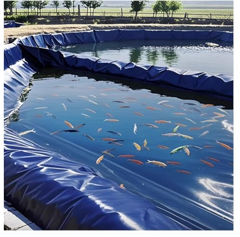 Bâche de bassin robuste 10 x 15 m imperméable en polyéthylène haute densité flexible pour bassins à carpes koï extérieures, facile à découper, bâche de jardin, bâche de jardin aquatique durable