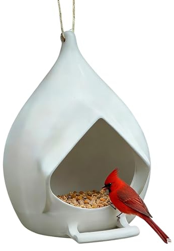 Alimentador para pájaros para exteriores | Cuenco de comida resistente a la lluvia | Distribuidores de colgantes para jardín - per Interno Ed Esterno, Serra, Balcone, Giardino, Vivaio, CASA, Inverno