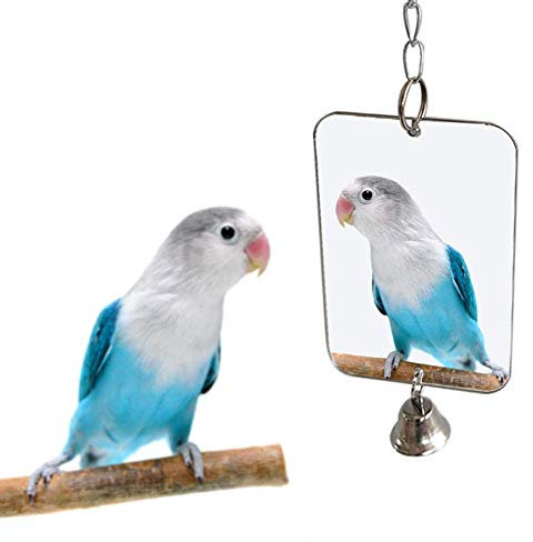 Vektenxi Vogel Zubehör, Papagei Vogel Sittich hängenden Spiegel Glocke Spielen Spielzeug Käfig Dekoration Heimtierbedarf sehr praktisch