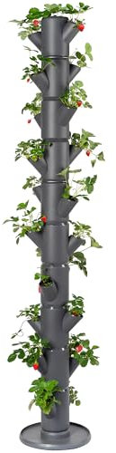 Gusta Garden Sissi Strawberry Erdbeerbaum Infinity Anthrazit - Hochbeet System Erdbeeren mit Wandhalterung - Garten & Balkon - 185cm - 25L Erdvolumen