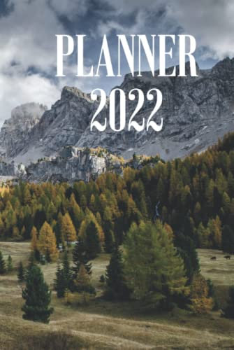 Terminplaner Jahreskalender 2022, Terminkalender DIN A5, Taschenbuch und Hardcover