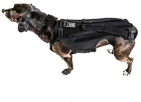 Asixxsix Hunde-Rückenbandage für Arthritis bei Hunden, Haustier-Rückenbandage für IVDD, Rückenschutz Hilft bei Schmerzlinderung, Chirurgischer Genesung und Rehabilitation (M)