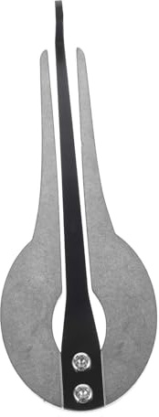 minkissy Tragbare Maultrommel aus Metall Ethnisches Musikinstrument für Anfänger Vielseitig mit Silberner Oberfläche zum Aufführen Traditioneller Musik